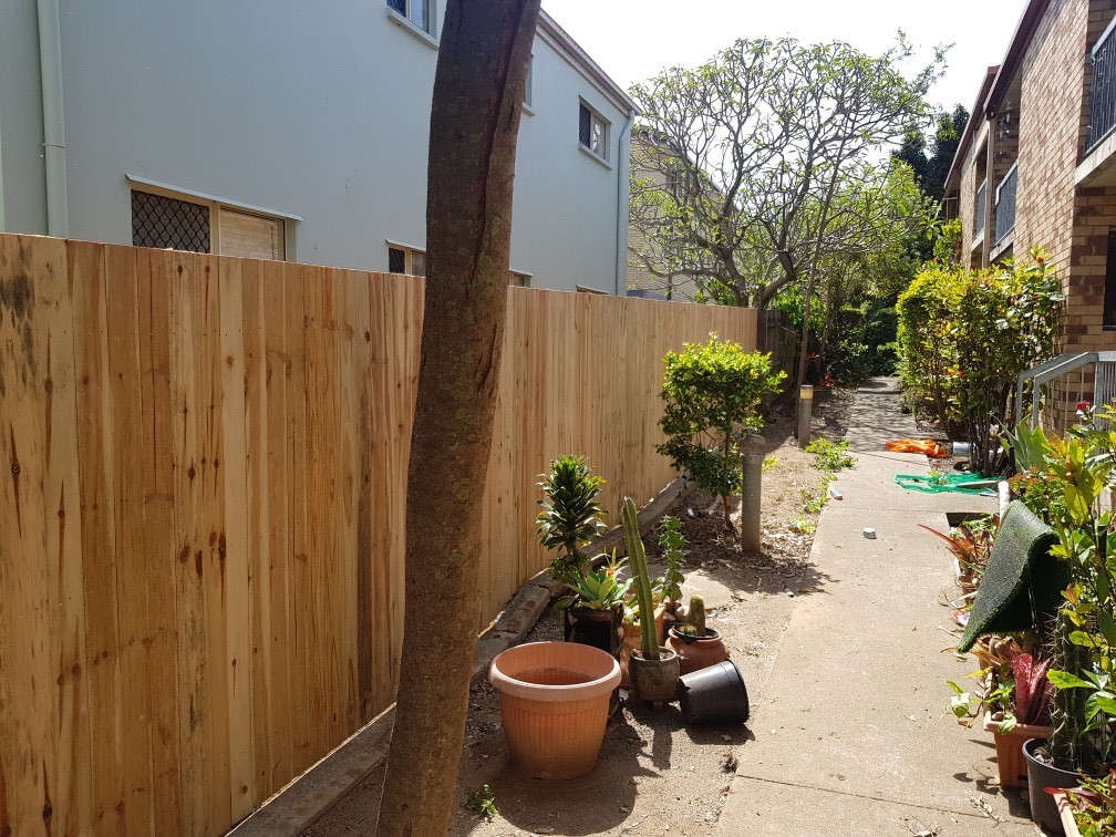 completed strata building maintenance in Brisbane view of newly installed fence bordering garden path between strata complexes in Brisbane